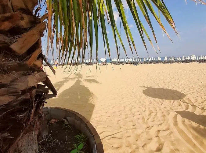 Cozy In Barcelo Royal ***** 公寓 阳光海滩